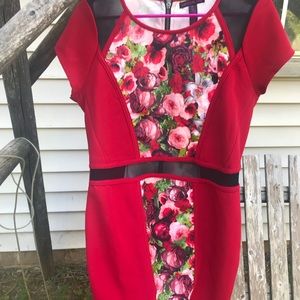 Beautiful Rose Dress.